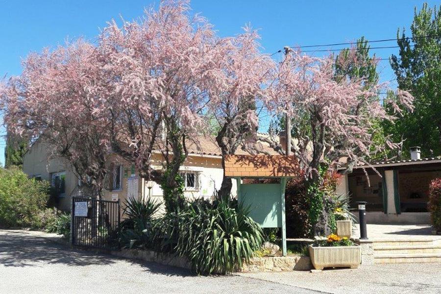Camping L'Oasis du Verdon