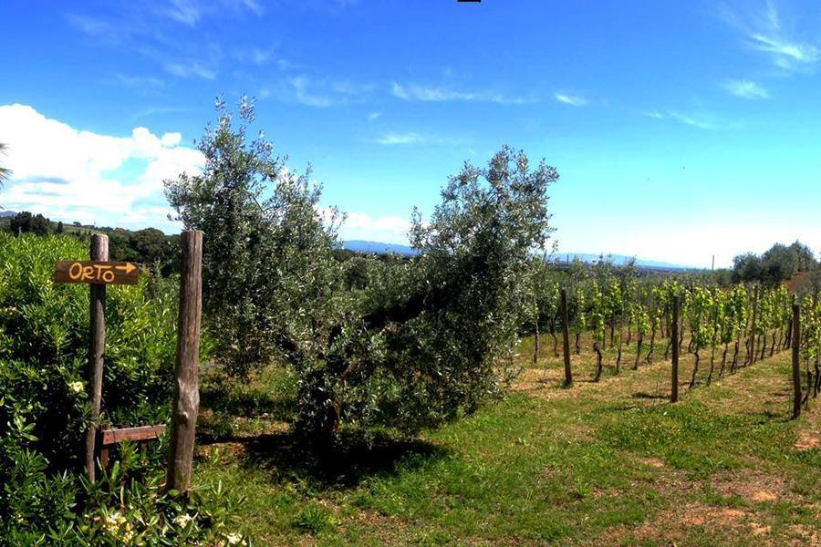 Agricampeggio De Santis