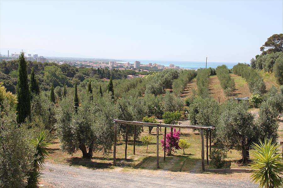 Agricampeggio De Santis