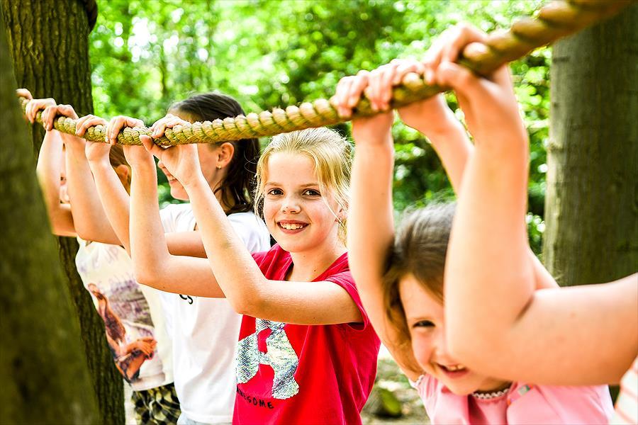 Camping & Bungalowpark 't Stien'n Boer