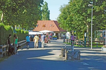 Strandcamping Wallnau