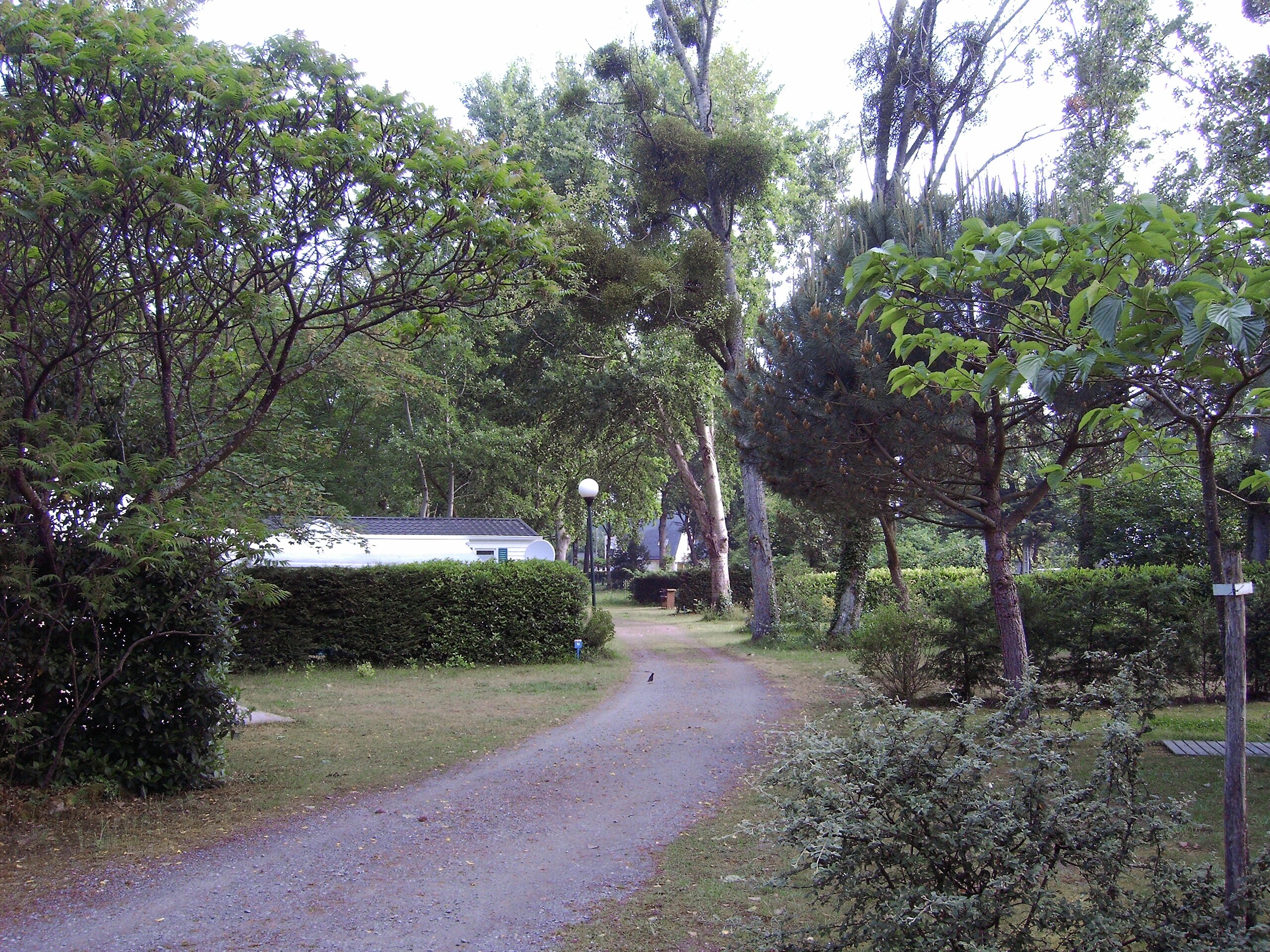 Camping Du Domaine De Pont Mahé