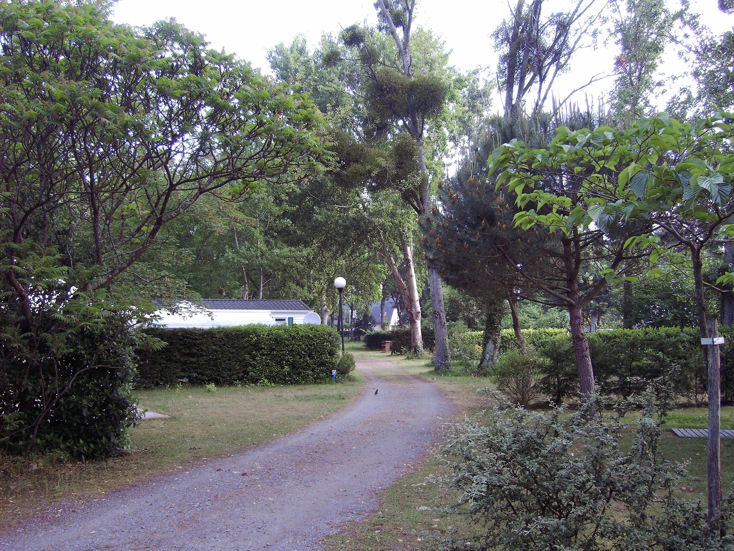 Camping Du Domaine De Pont Mahé