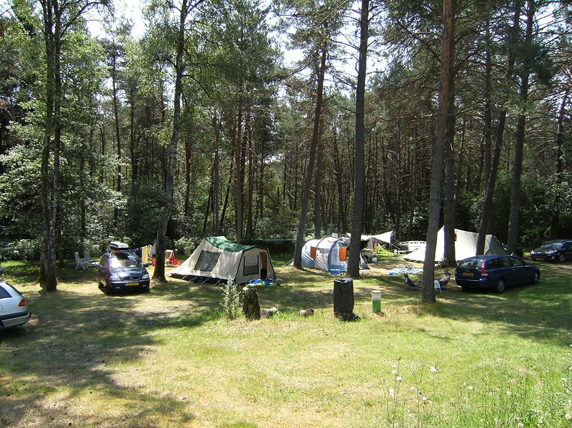 camping Camping Les Sapins de Corrèze