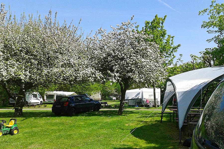 Camping Sell-Hof