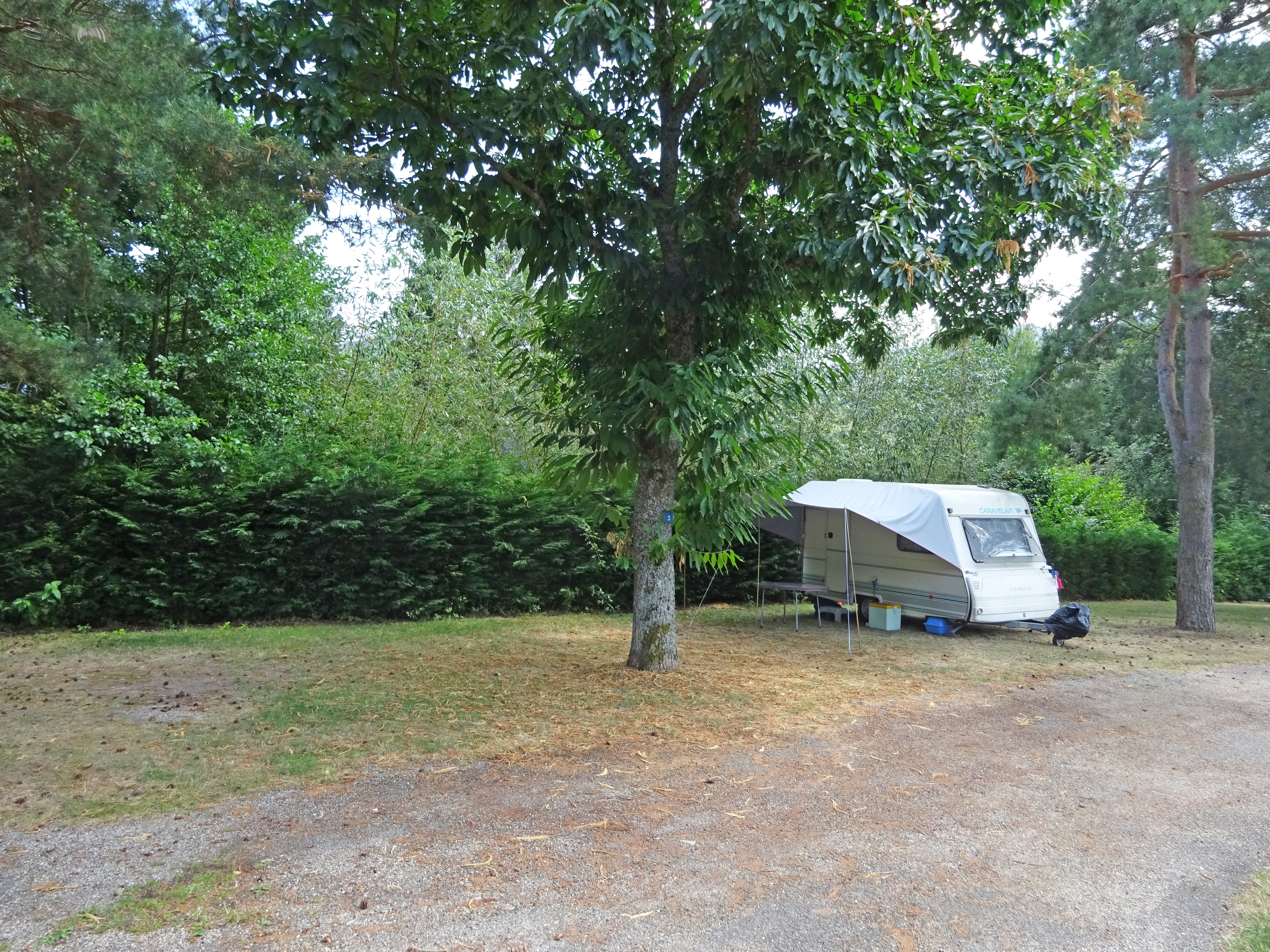 Camping du Haut-Koenigsbourg