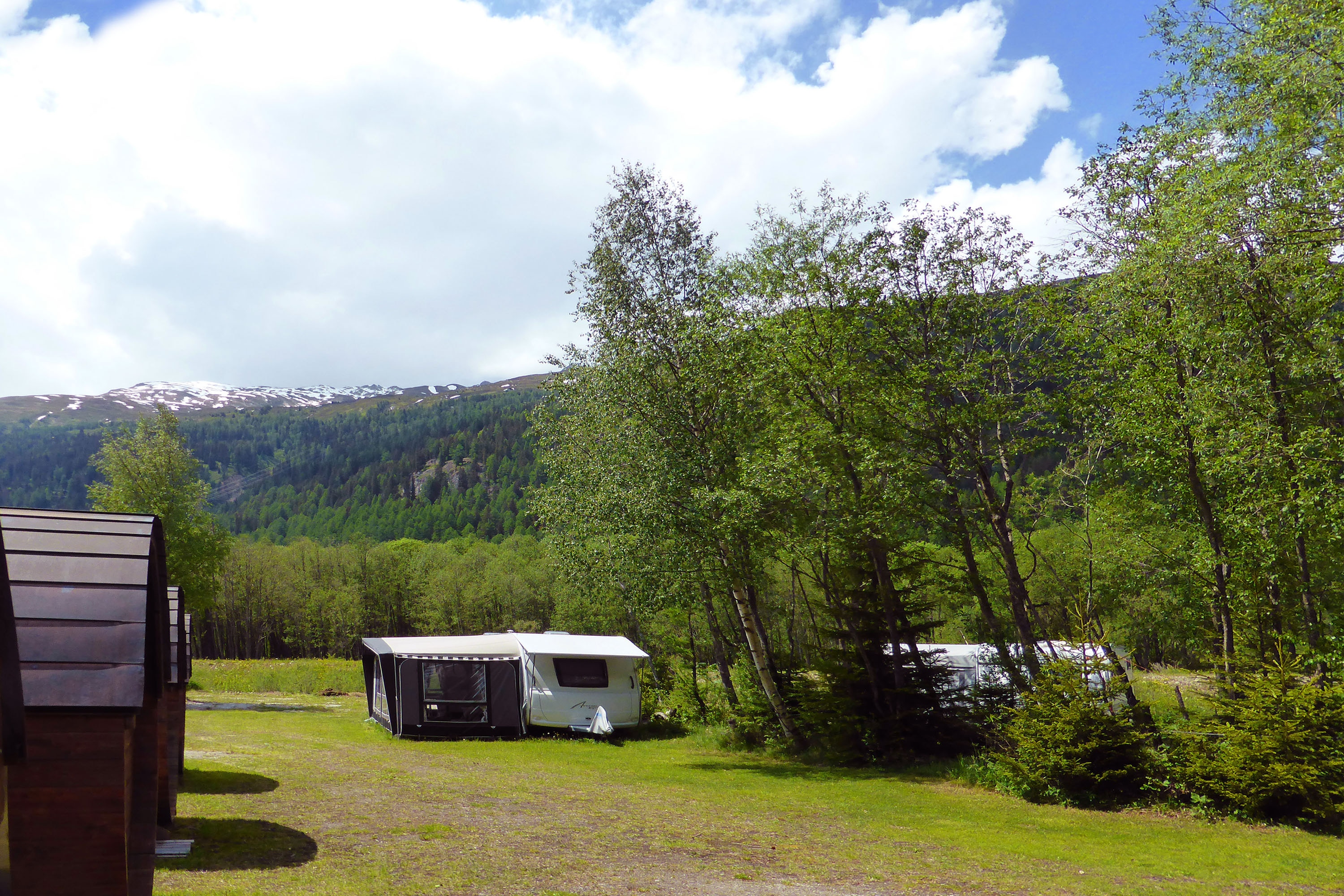 Forest Lodge & Camping