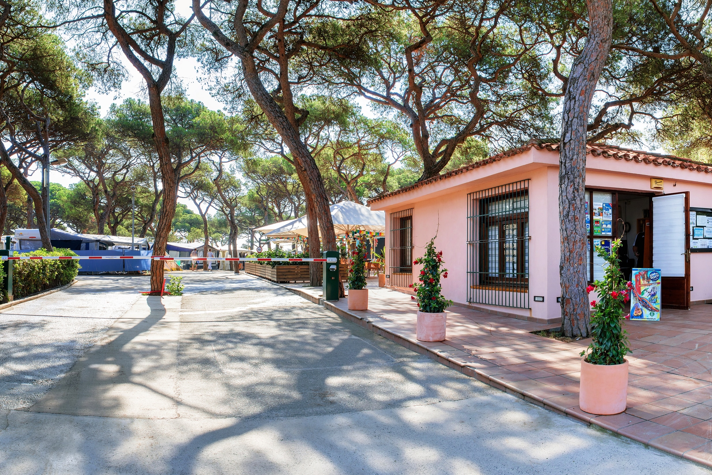 Camping Alannia El Pinar