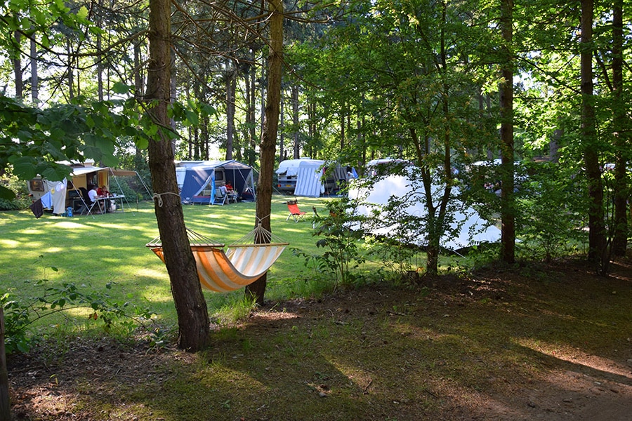 camping Camping Het Horstmannsbos