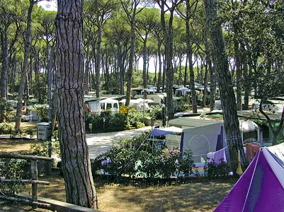camping Camping Continental