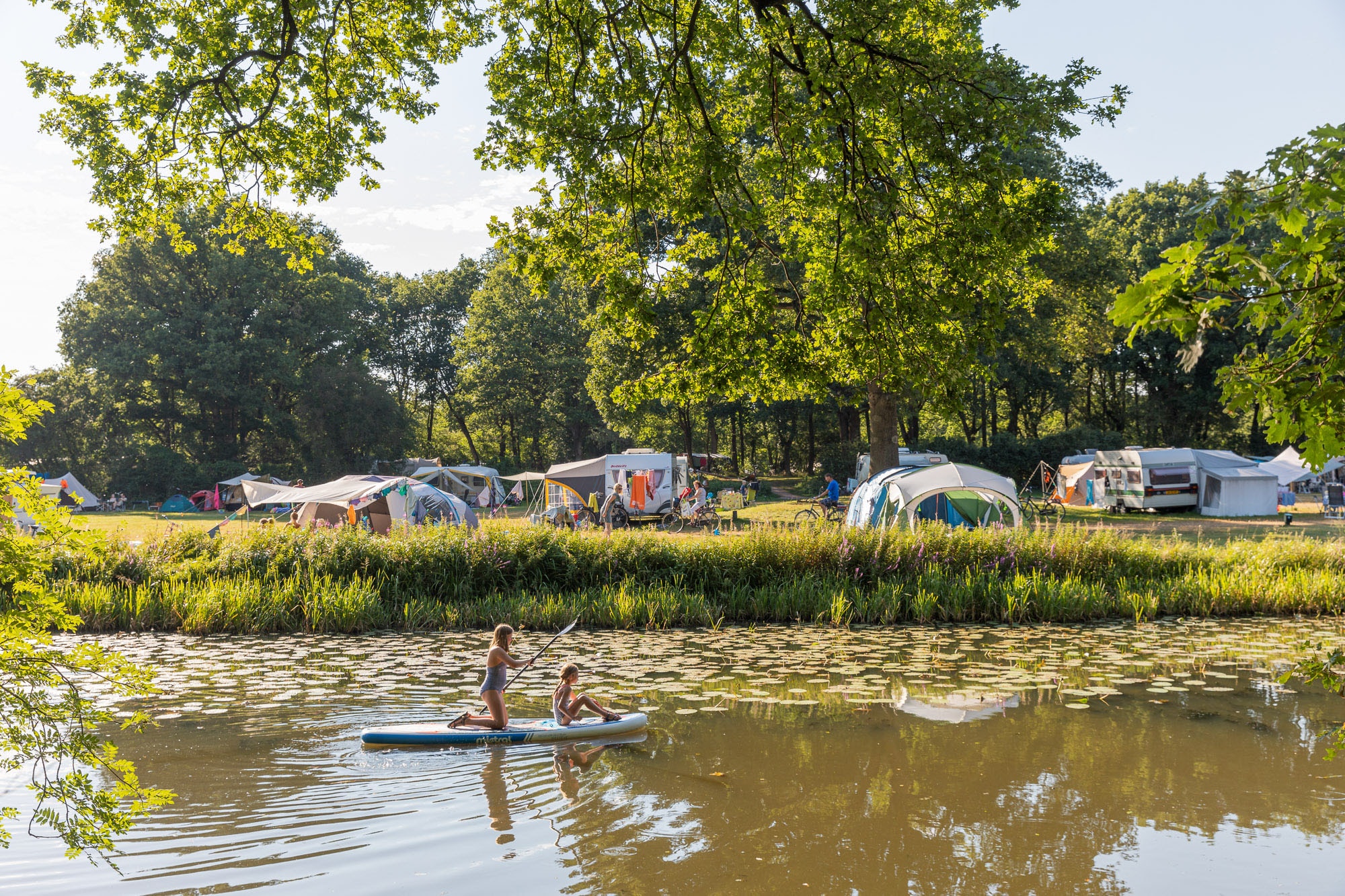 camping Camping Huttopia De Roos