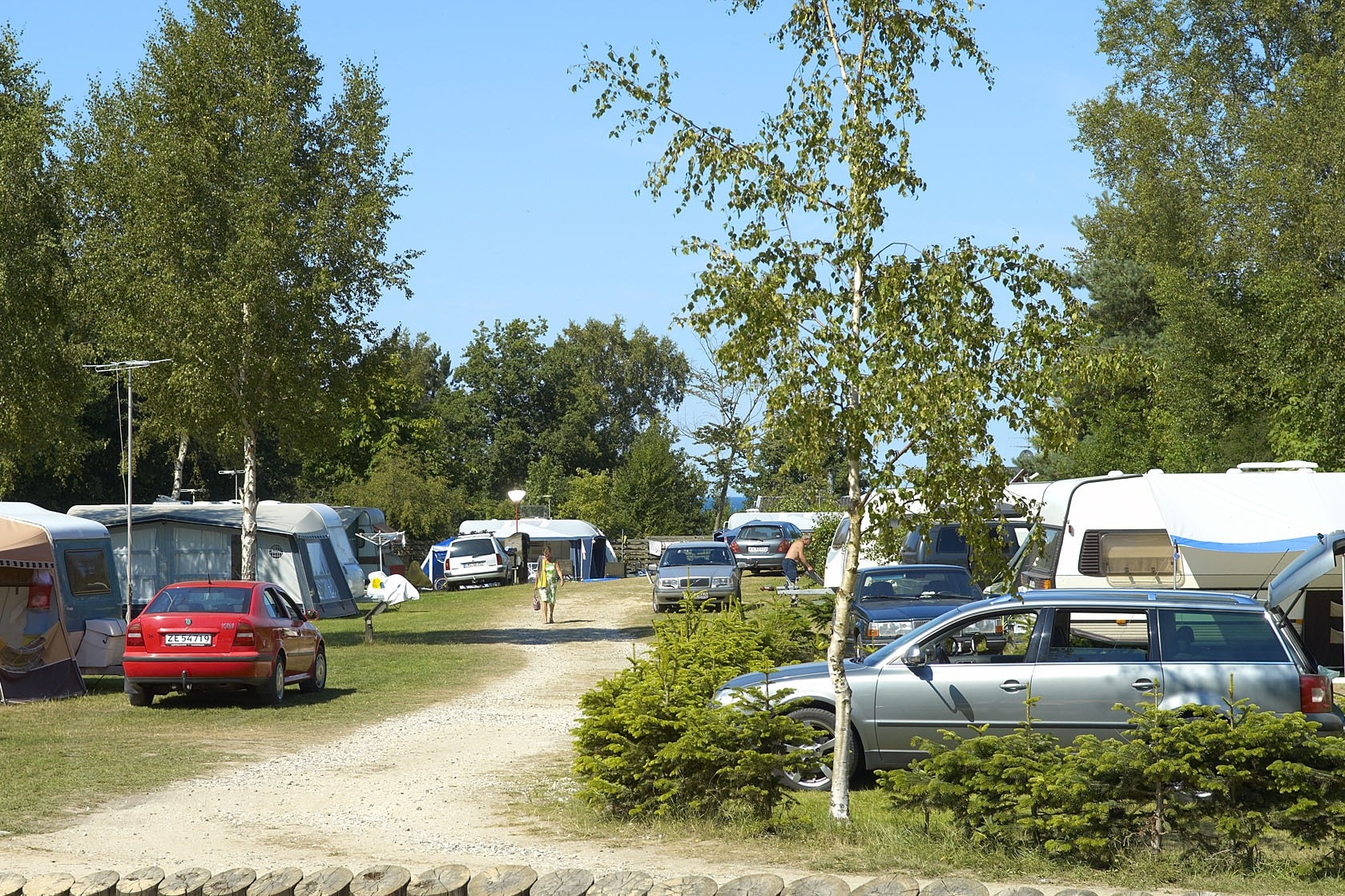 Dalgård Camping