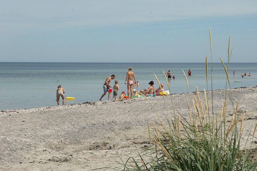 Dalgård Camping