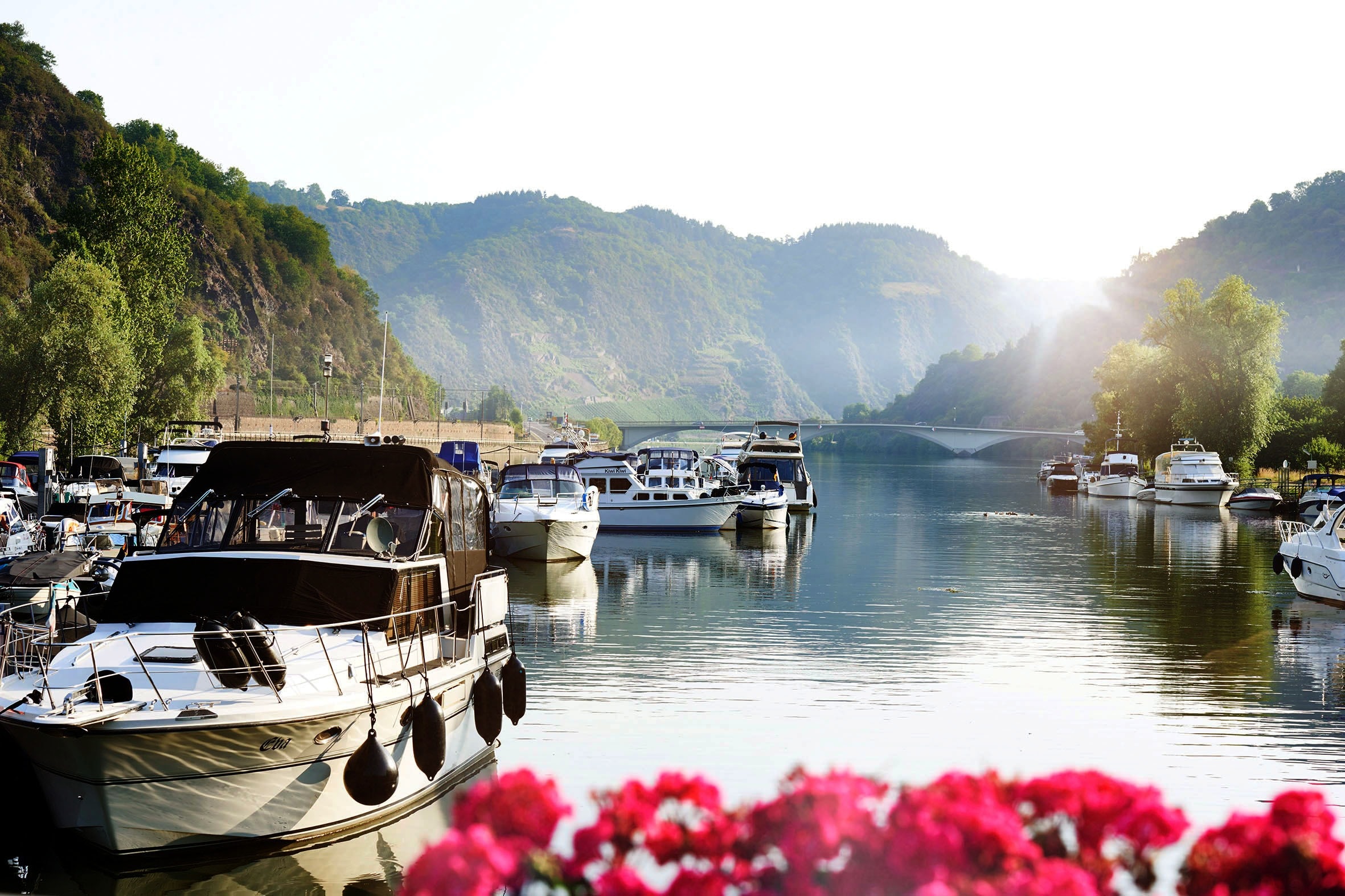 Mosel-Islands Camping