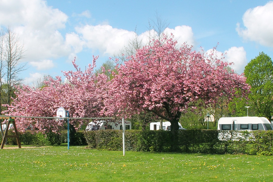 Camping Le Bois des Pêcheurs