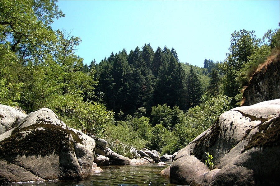 Camping l'Ardechois