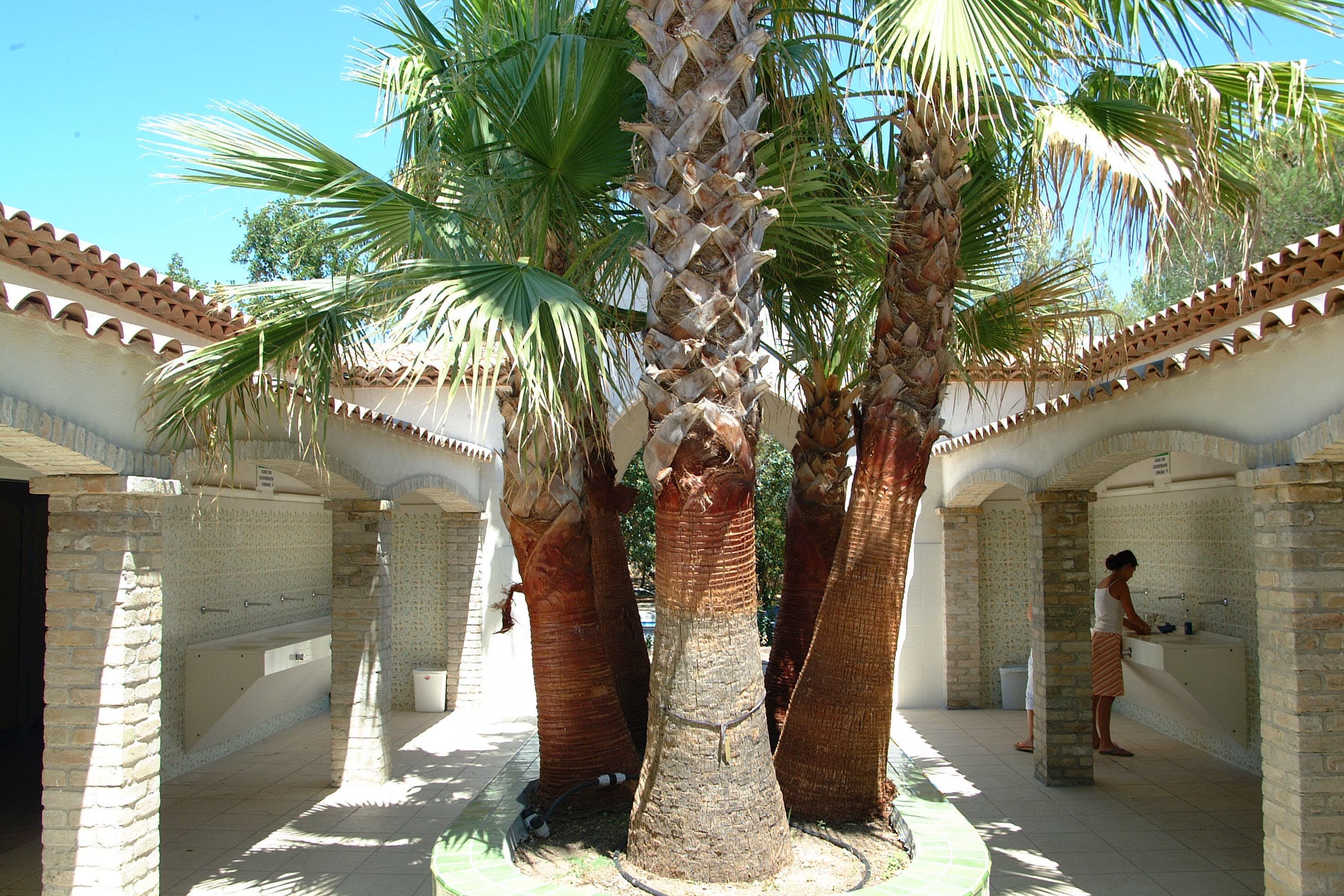 Camping La Baume/La Palmeraie