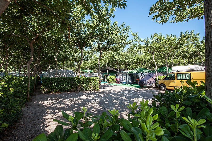 Bonterra Resort - Camping & Bungalows