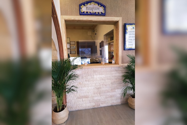 Camping Internacional Las Palmeras