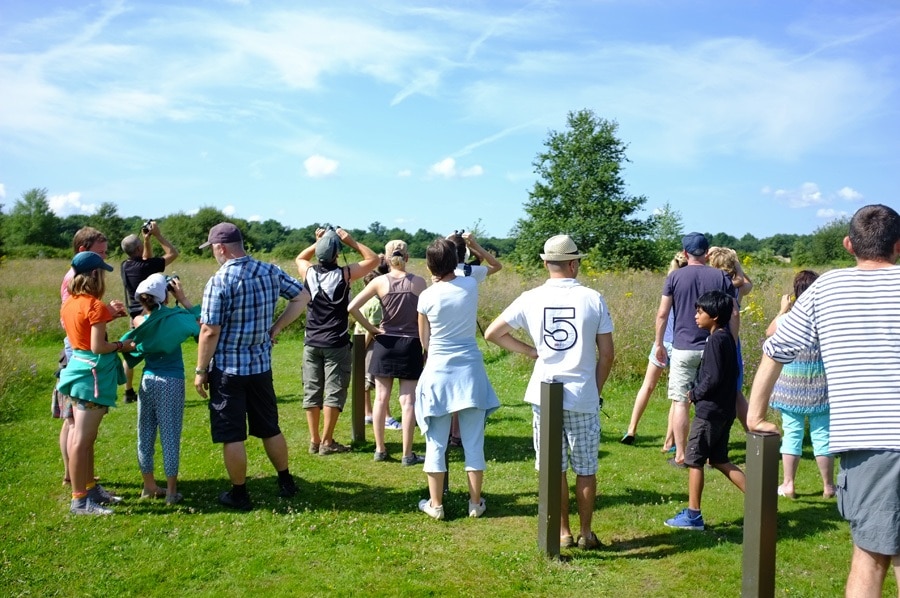 Camping Les Saules