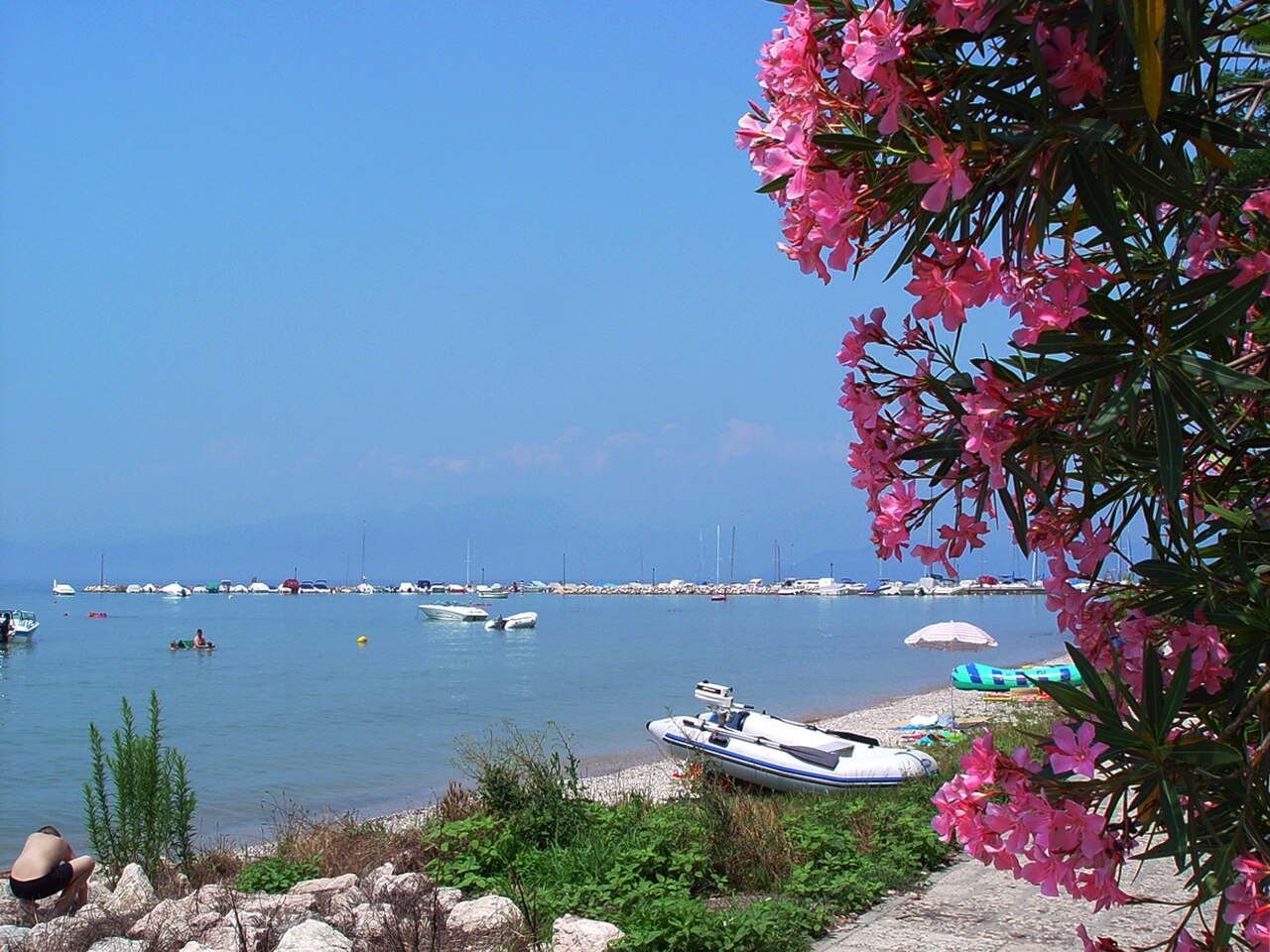 Camping Le Palme