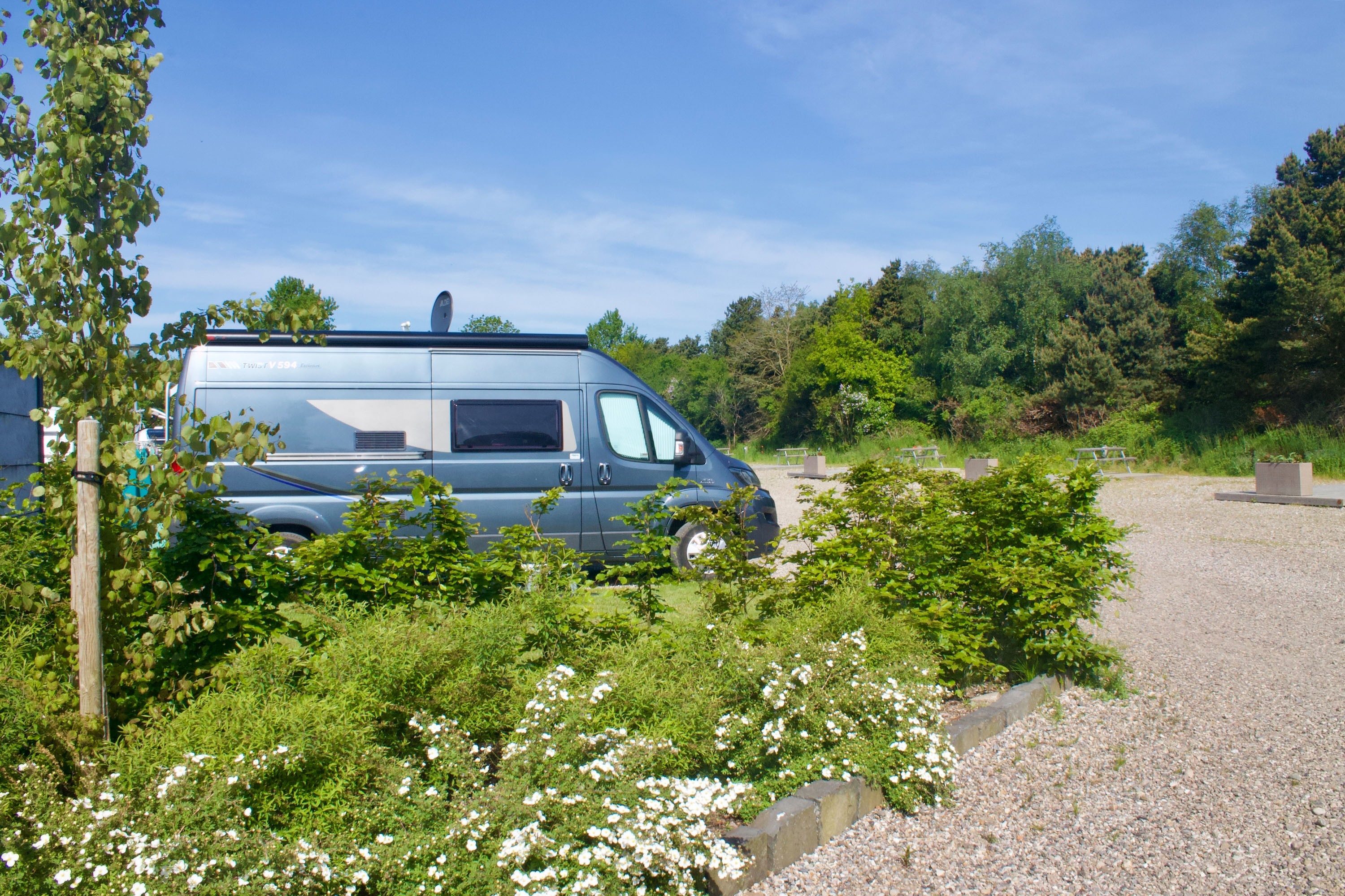 Ribe Camping