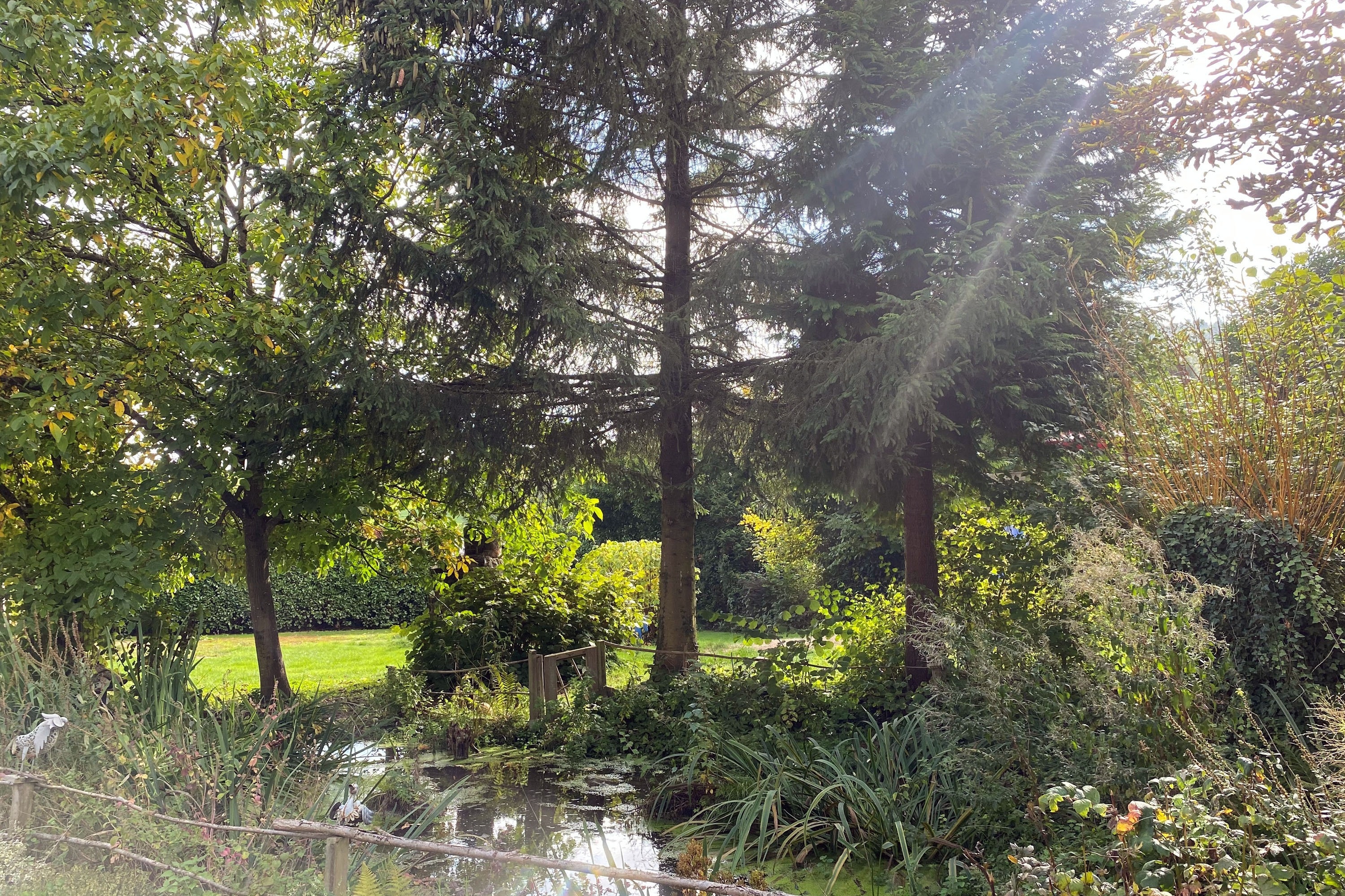 Camping Waldfrieden