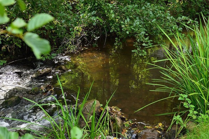Camping Leukbachtal