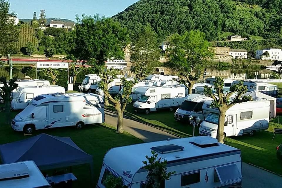Bären-Camp