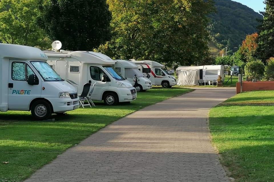 Bären-Camp