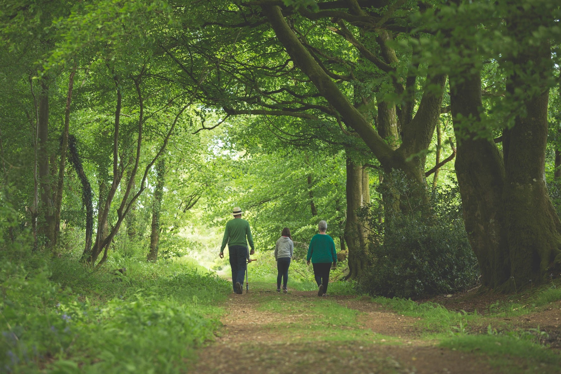 Forest Glade Holiday Park