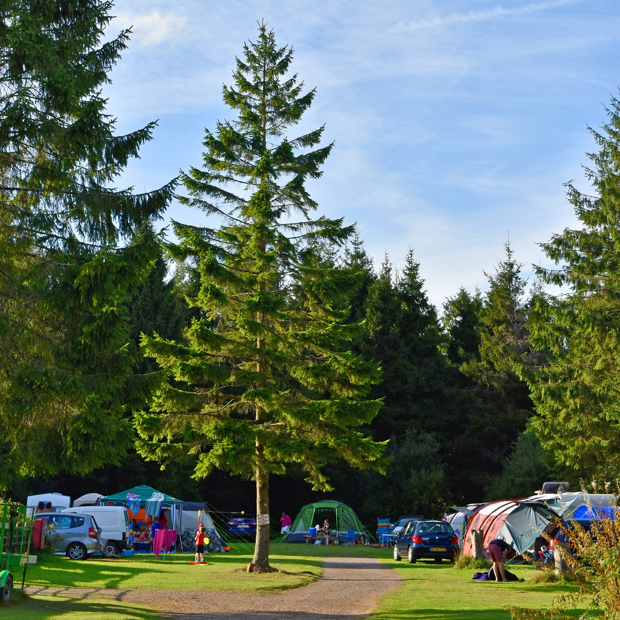 Forest Glade Holiday Park