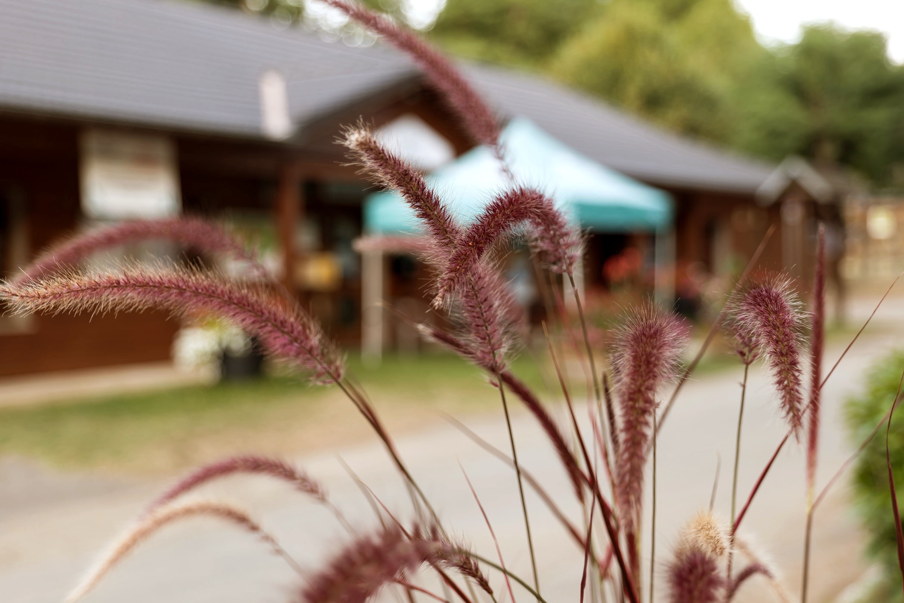 Camping Le Malazéou