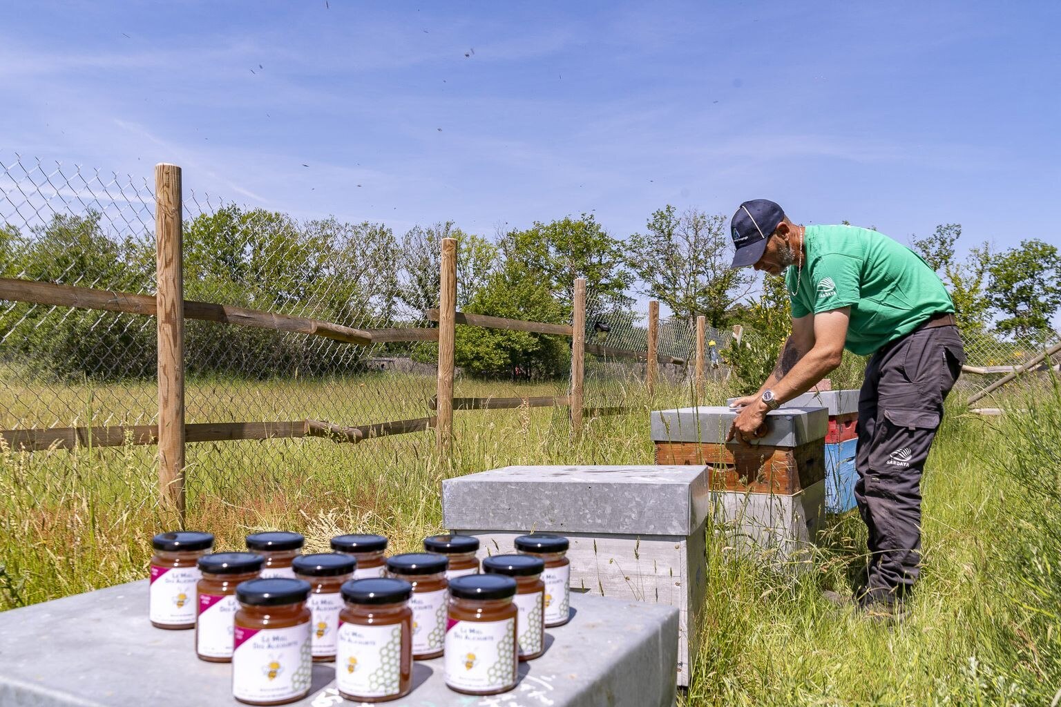 Camping Sandaya Les Alicourts