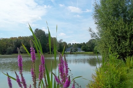 Camping de l'Aigrette