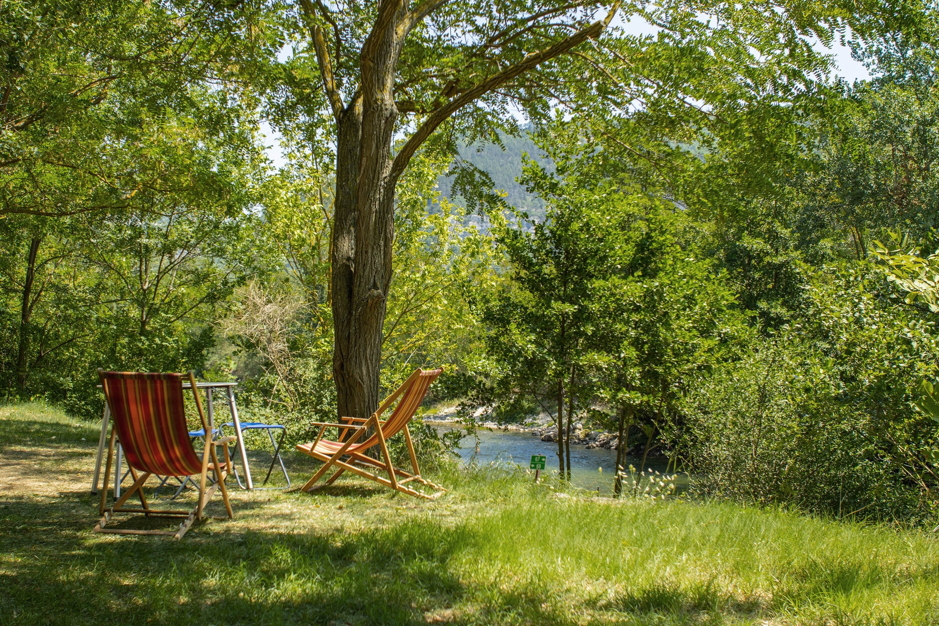 Flower Camping St. Lambert