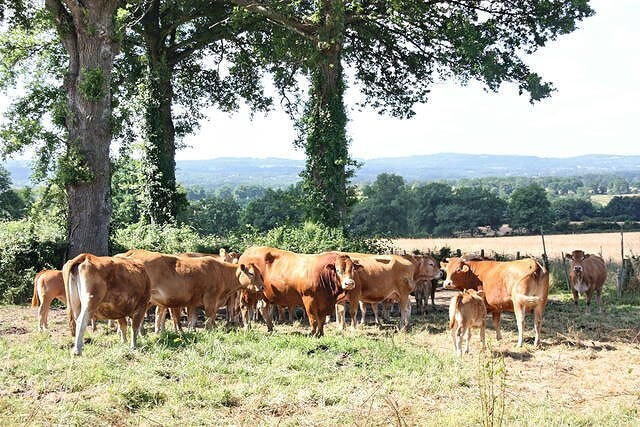 Camping Creuse Nature Naturiste