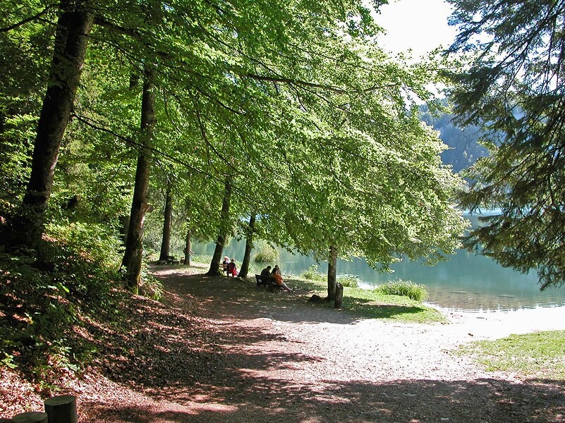 Camping L'Abbaye
