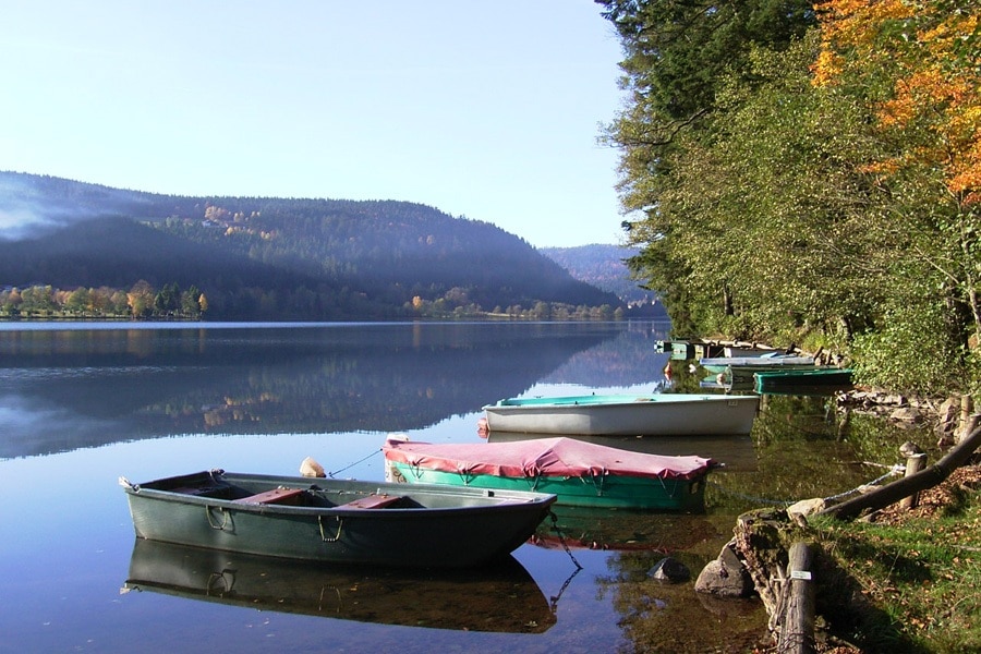Camping La Vologne