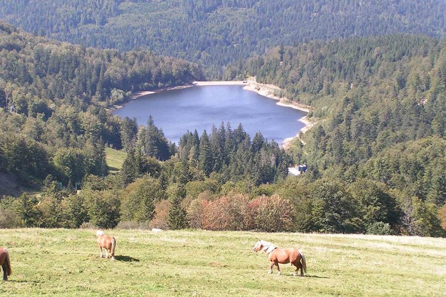 Camping JP Vacances - camping de Noirrupt