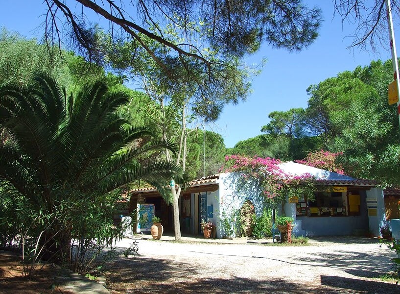Selema Camping