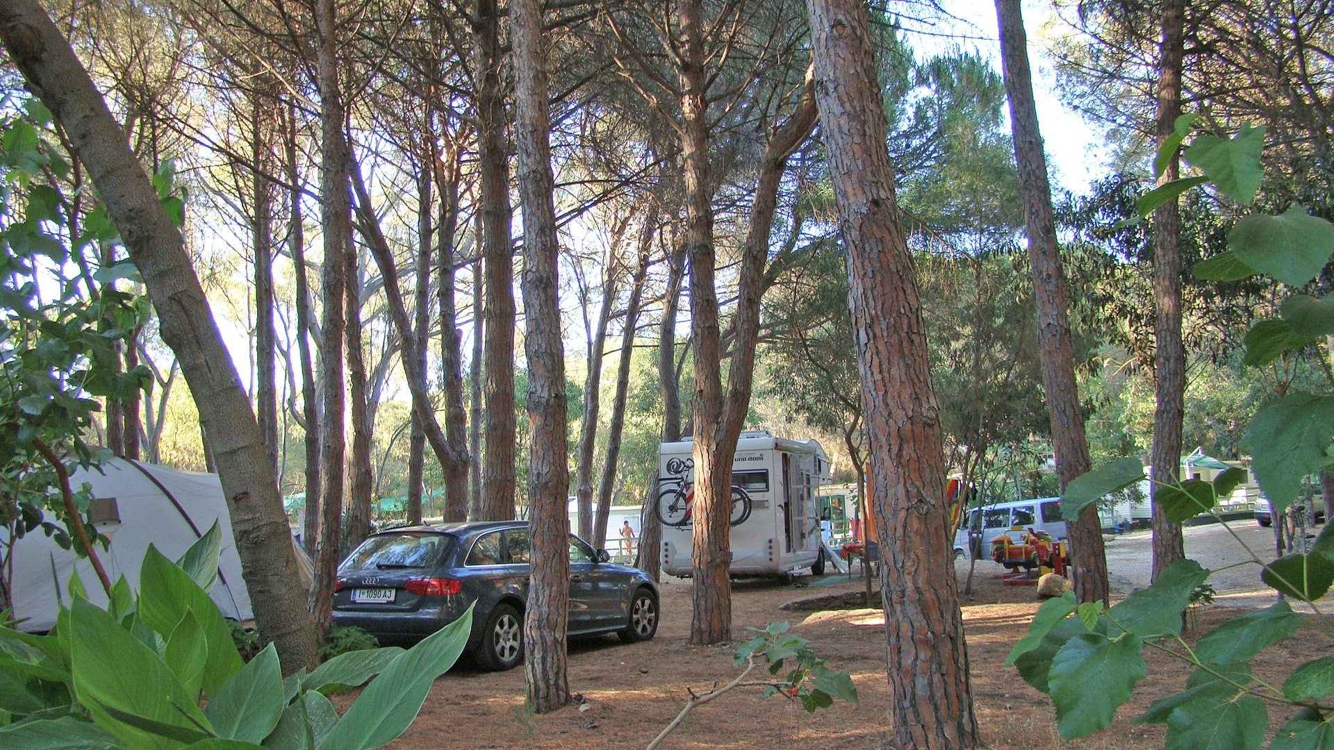 Selema Camping