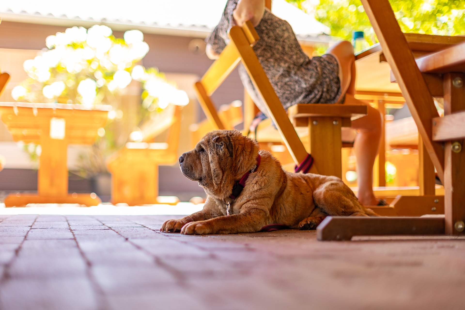 Balatontourist Camping Napfény