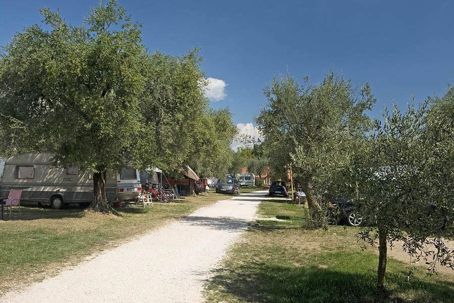 Camping Zocco