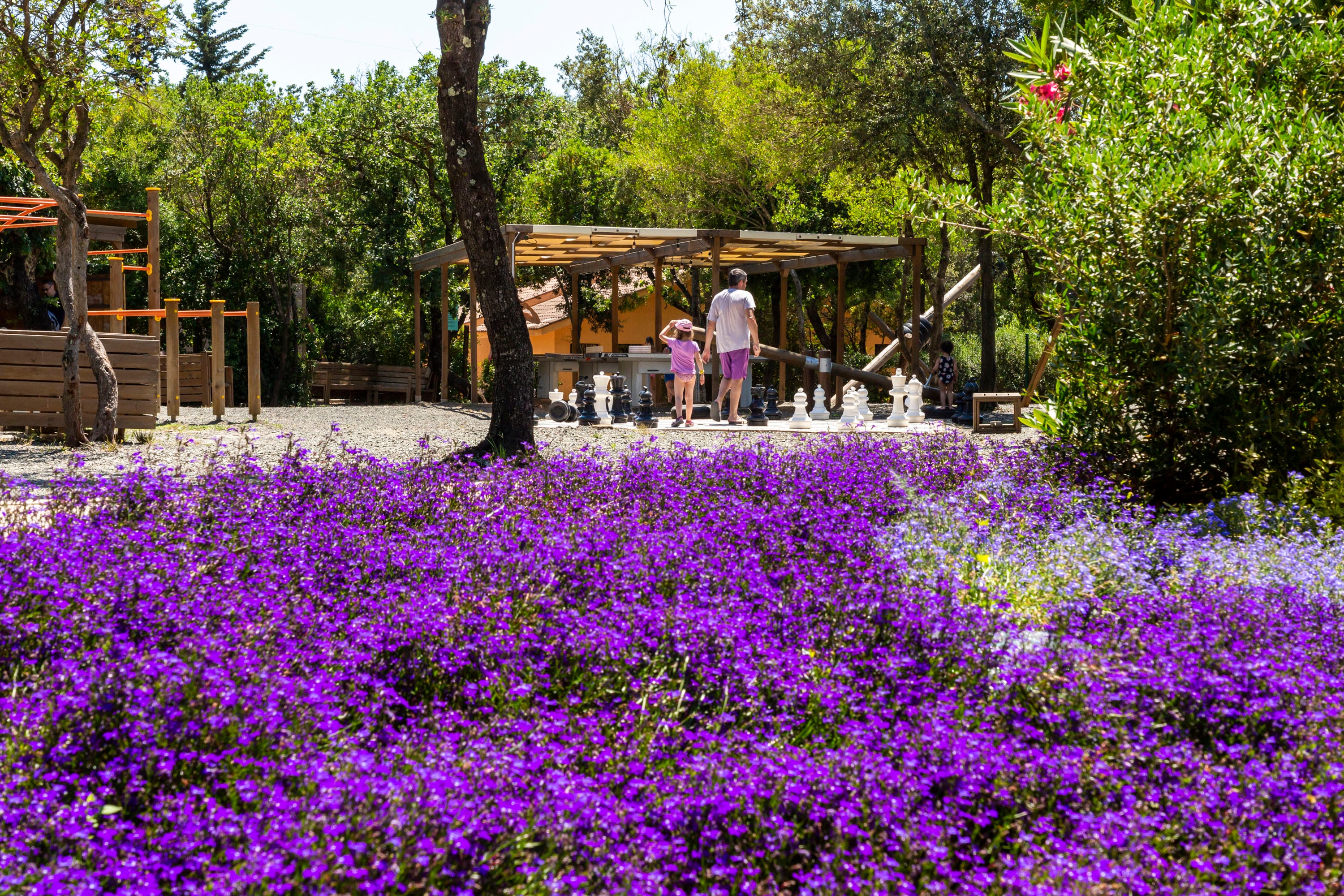 hu Montescudaio Village