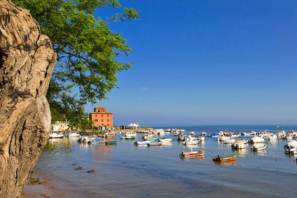 hu Park Albatros Village