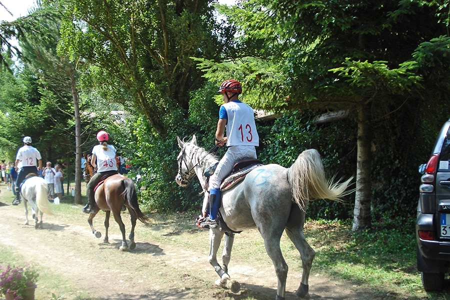 Camping Rio Verde