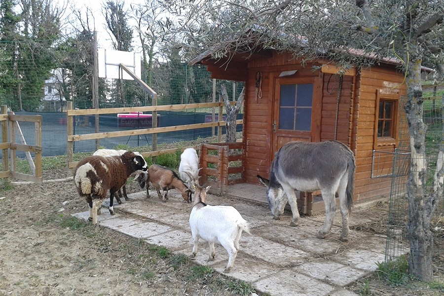 Camping Centro Vacanze San Marino
