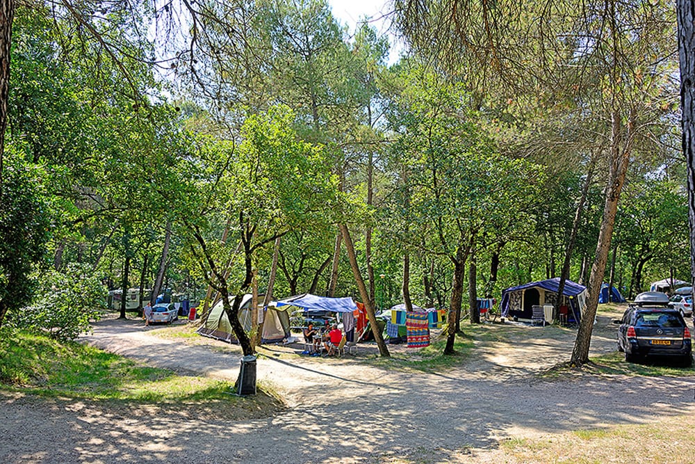 Camping Pian di Boccio