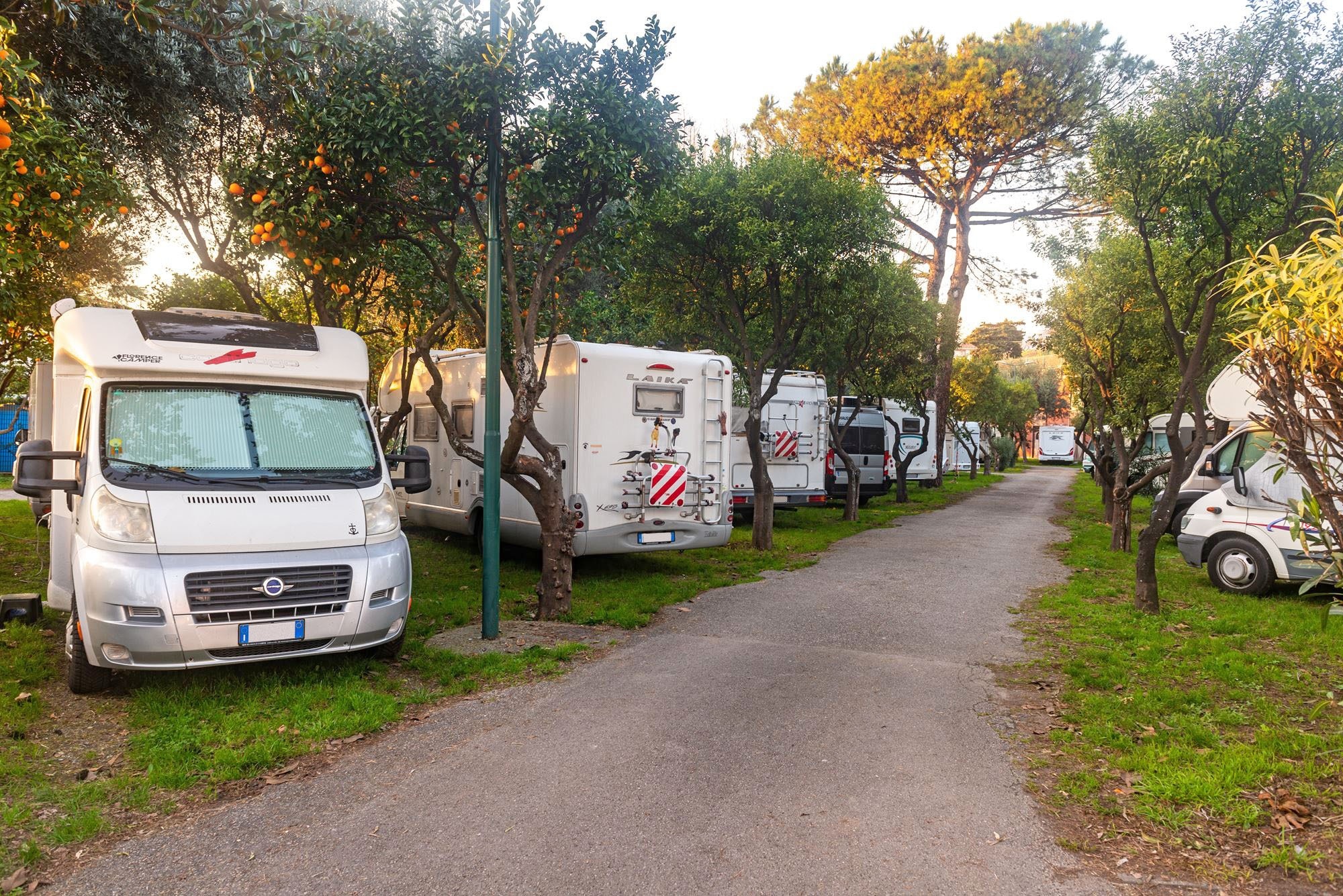 Camping Zeus